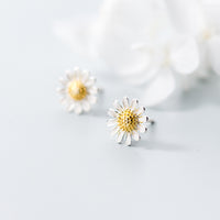 Daisy Flower Stud Earrings - SS052