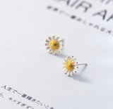 Daisy Flower Stud Earrings - SS052