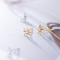 Small Star Stud Earrings - ECZ007