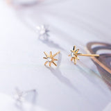 Small Star Stud Earrings - ECZ007