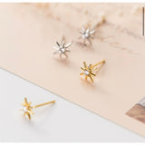 Small Star Stud Earrings - ECZ007