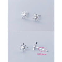 Small Star Stud Earrings - ECZ007