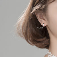 Solid Silver Small Huggie Earrings-SH005