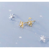 Small Star Stud Earrings - ECZ007