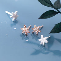 Maple Leaves Shining Stud Earrings-ECZ017