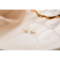 Graduated CZ Diamonds Stud Earrings-ECZ027