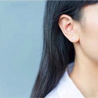 Small Marine Animals Dolphin Studs Earrings
